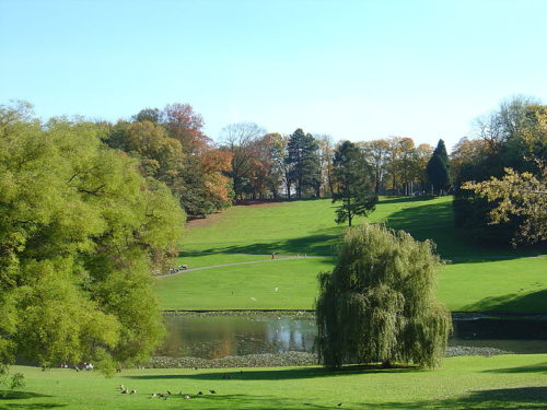 Lire dans les parcs WSP - Centre