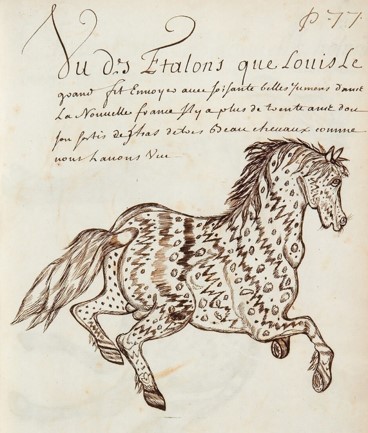 Dessin de cheval