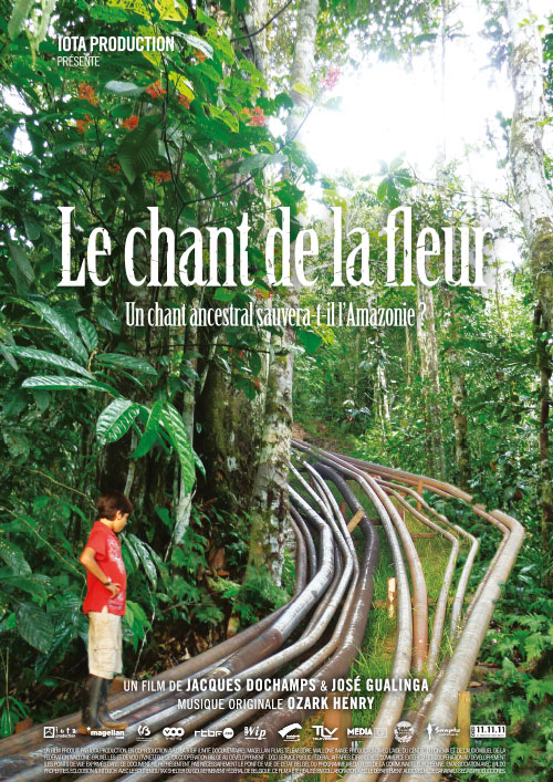 Photo de canalisations traversant la forêt amazonienne 