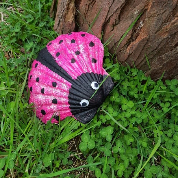 Coccinelles