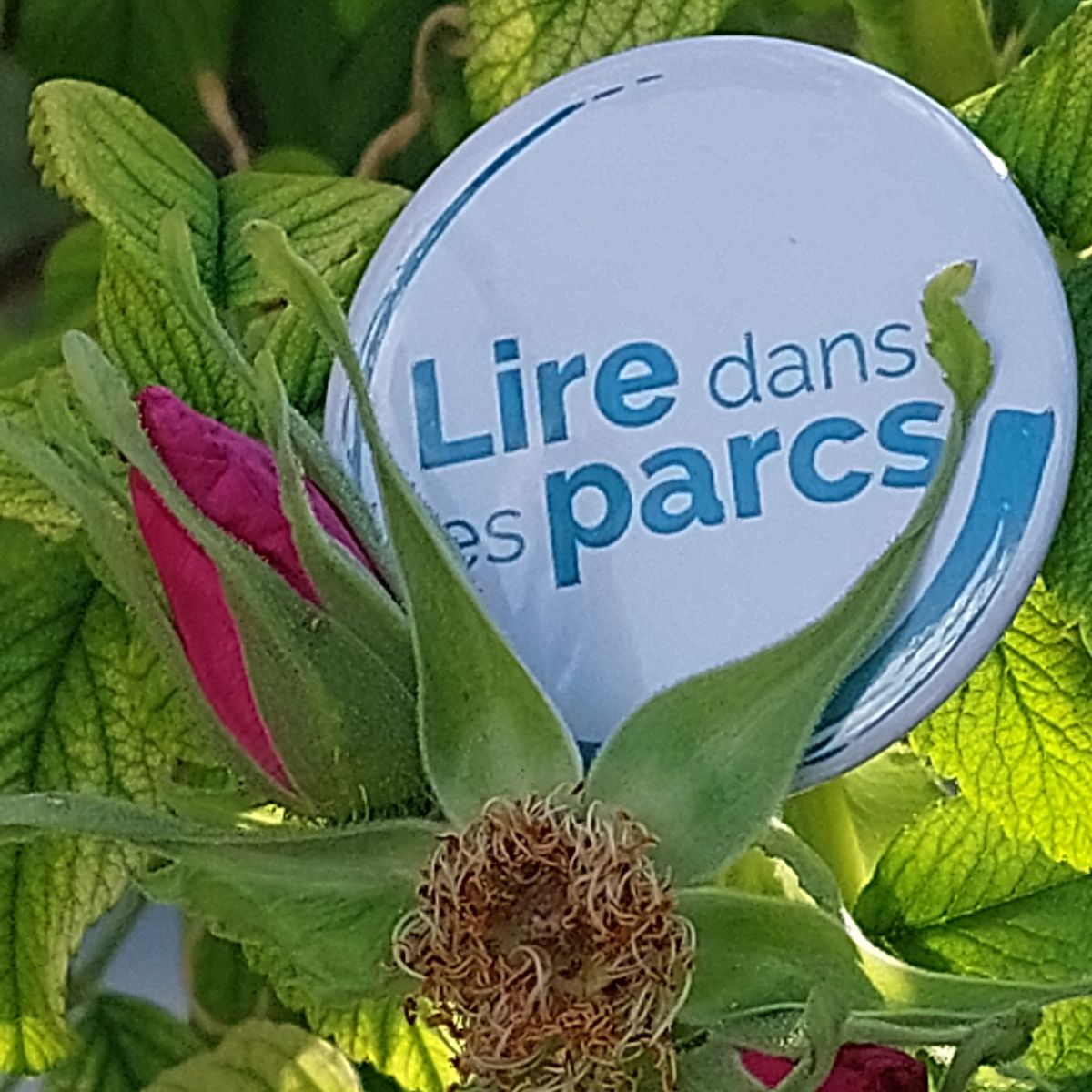 Badge à l'effigie de Lire Dans les Parcs dans la végétation