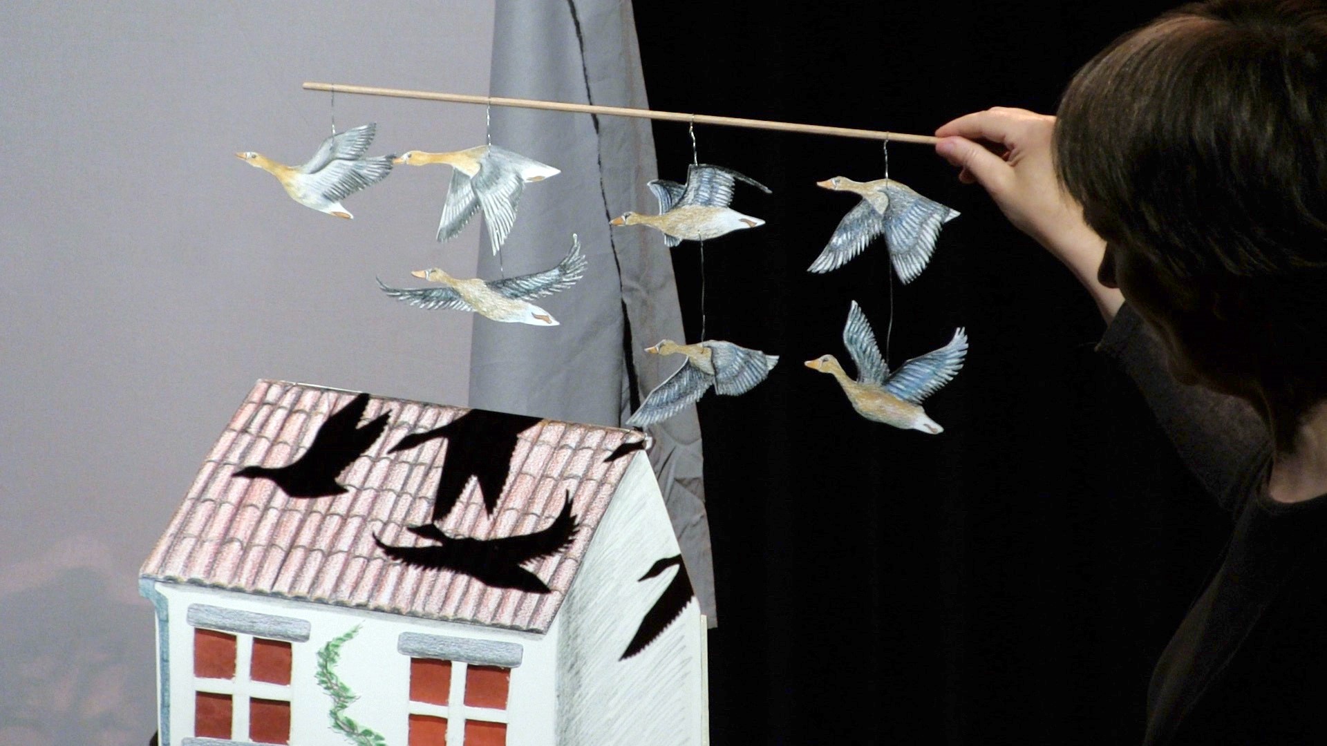 Photo du spectacle conteuse et marionnettes d'ombres