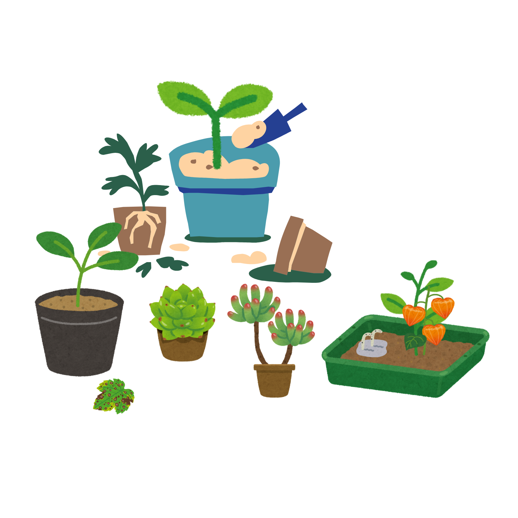 Plantothèque